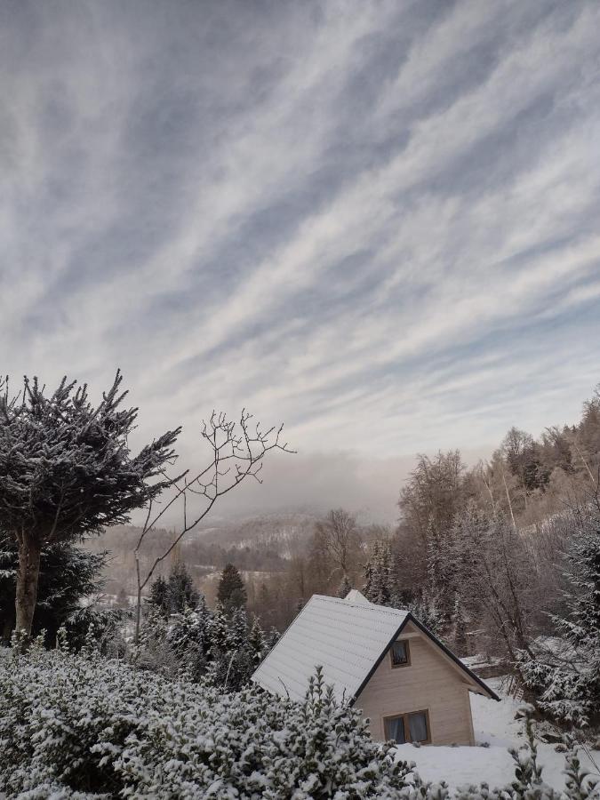Domek Na Lesnym Wzgorzu Pieszyce المظهر الخارجي الصورة