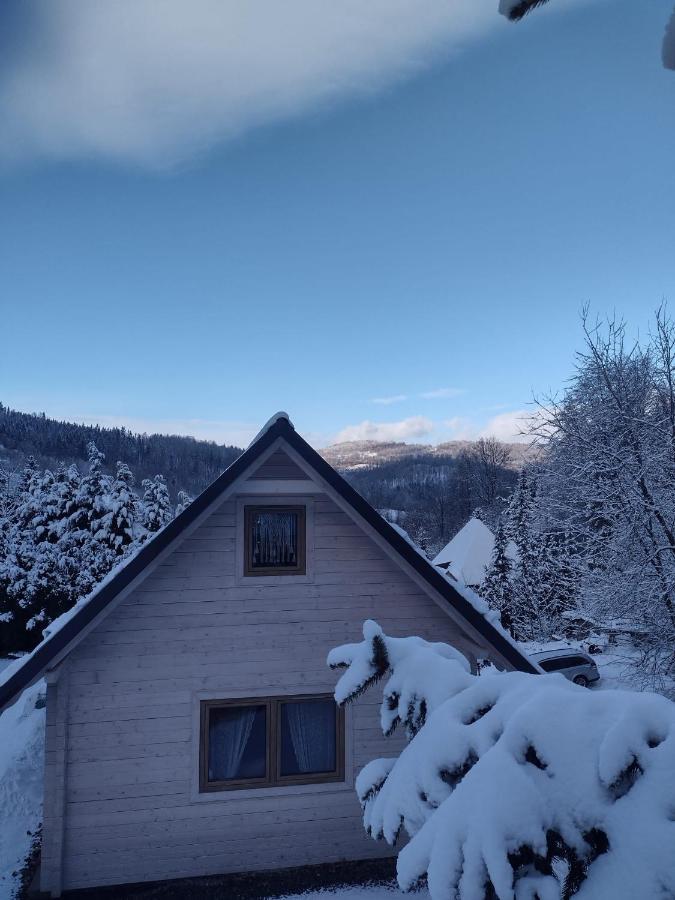Domek Na Lesnym Wzgorzu Pieszyce المظهر الخارجي الصورة